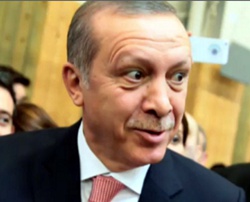 Erdogan irre